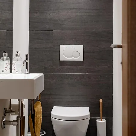 Loft Am Im Herzen Von Bregenz